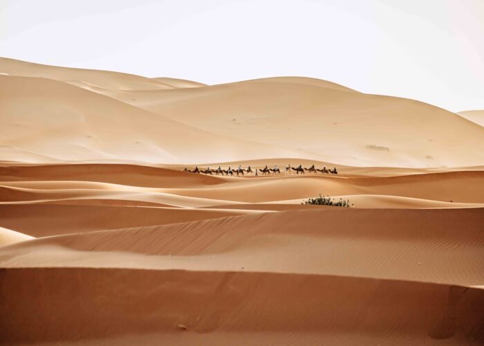 Morocco Itinerary 10 days From Marrakech